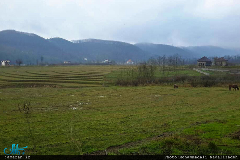 روستای امام زمین تنکابن 