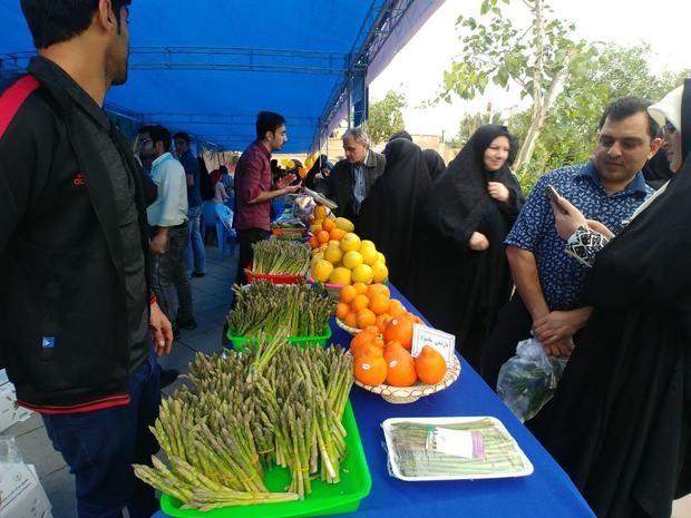 نخستین جشنواره مرکبات در دزفول برگزار شد