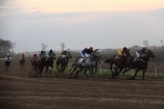 62 اسب در هفته هفدهم مسابقات اسبدوانی گنبد رقابت کردند