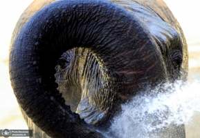 منتخب تصاویر امروز جهان- 9 مرداد 1400