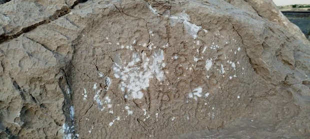 تخریب کتیبه دوره ساسانی در نقش رستم توسط سوداگران عتیقه! + تصاویر /  یک مورخ: هیچ تلاشی برای حفاظت از این اثر نشده است / میراث فرهنگی: نیرو نداریم و از هر 10 گزارش، شاید 5 مورد جعلی باشد