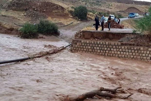 راه ارتباطی ۲ روستای زیودار پلدختر قطع شد