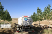 فرماندار اردبیل: مشکلات تامین آب آشامیدنی روستاها باید حل شود