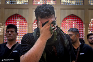 هم قدم با زائران اباعبدالله الحسین (ع)؛ حرم امیر المومنین (ع)