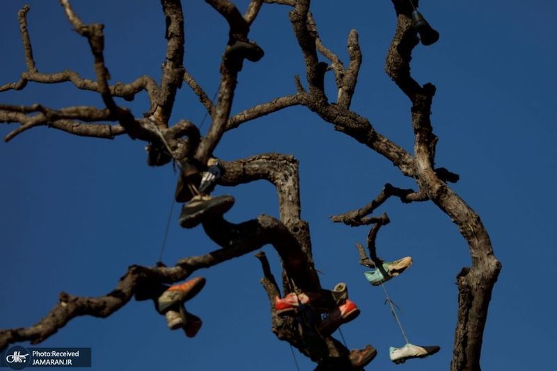 منتخب تصاویر امروز جهان- 19 خرداد 1400