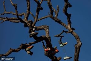 منتخب تصاویر امروز جهان- 19 خرداد 1400