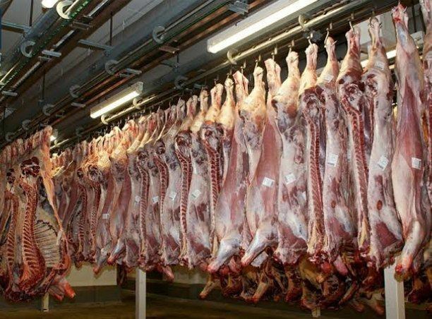 درخواست فهرست کشتارگاه‌های مجاز پاکستان و افغانستان   