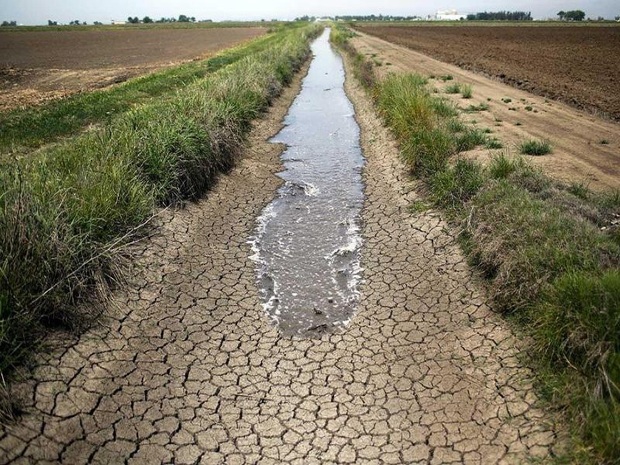 کل جمعیت خراسان جنوبی درگیر خشکسالی است