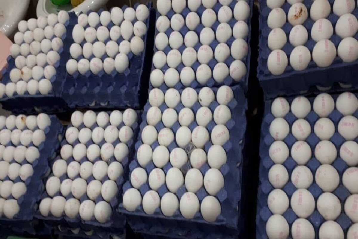 قیمت تخم مرغ در اولین هفته دی 1401 اعلام شد