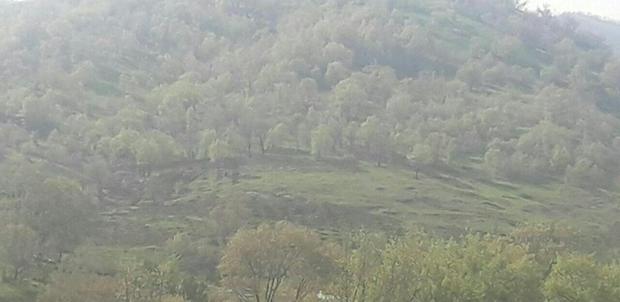 2 نفر از تخریب کنندگان اراضی ملی مریوان شناسایی شدند