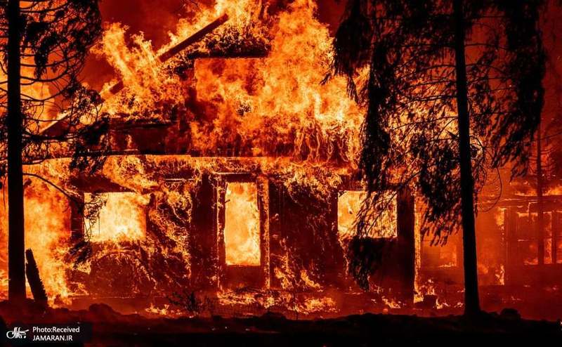 منتخب تصاویر امروز جهان- 4 مرداد 1400