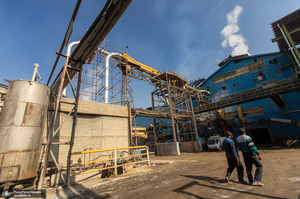 شوق شیرین تولید شکر / کارگران تولید قند و شکر