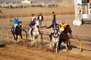 هفته نخست مسابقات کورس اسب کشور در اهواز برگزار شد