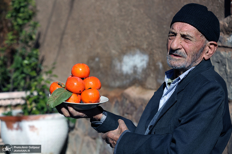 برگزاری اولین جشنواره خرمالو در روستای کشار سفلی