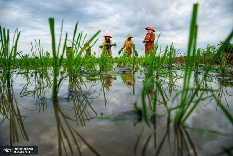 منتخب تصاویر امروز جهان- 23 تیر 1400