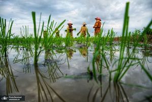 منتخب تصاویر امروز جهان- 23 تیر 1400