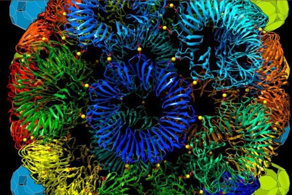 
۳۰ محصول جدید نانویی به نمایش گذاشته شد