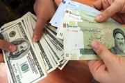 خبرگزاری دولت: ارز 4200، مردم را از یارانه 20 میلیون تومانی محروم کرد!