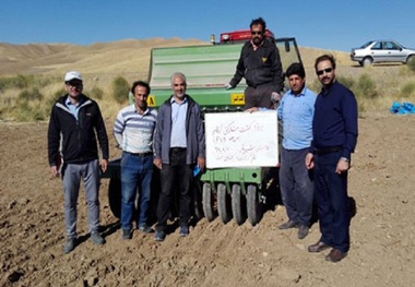 مزارع مشارکتی گندم و جو در چاراویماق کشت می شود