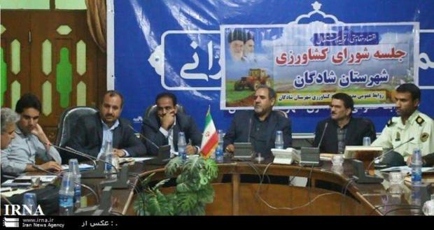 سه مرکز خرید گندم در شادگان فعال شد