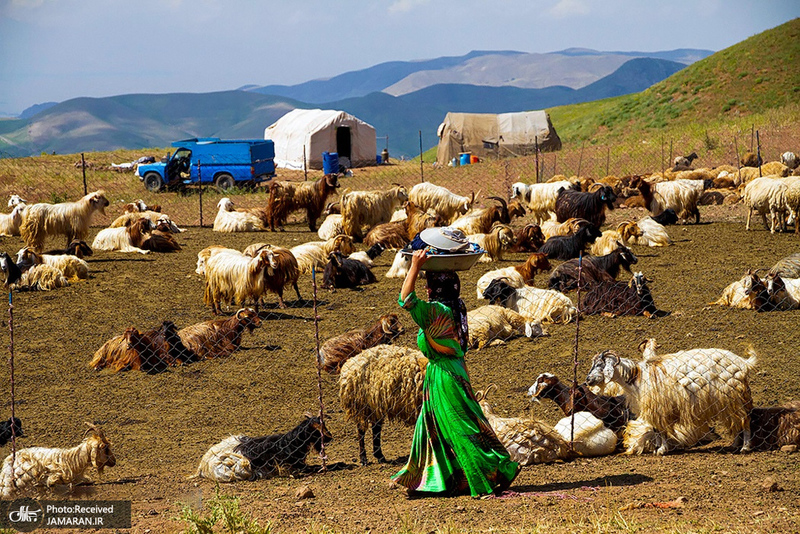منتخب تصاویر امروز جهان- 13 تیر 1400