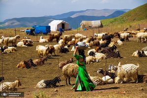 منتخب تصاویر امروز جهان- 13 تیر 1400