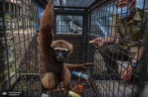 منتخب تصاویر امروز جهان- 7 دی 1400