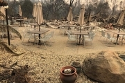 افزایش قربانیان و مفقودان آتش سوزی مهیب آمریکا به 600 تن+عکس