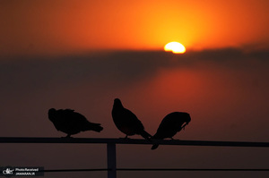 منتخب تصاویر امروز جهان - 1 خرداد 1401