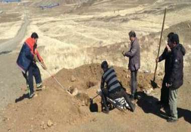 نجات یک قلاده گرگ از درون چاله در روستای نران سنندج