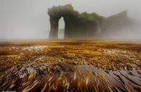 برندگان یازدهمین مسابقه عکاسی انجمن جغرافیای روسیه (9)