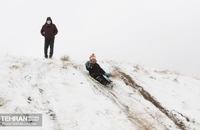 بهترین عکس ها از روز برفی تهران (4)