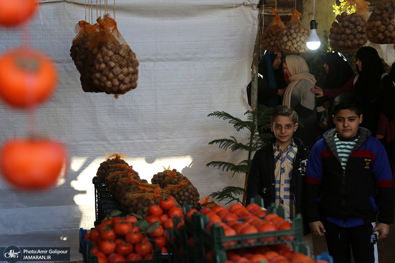 برگزاری اولین جشنواره خرمالو در روستای کشار سفلی