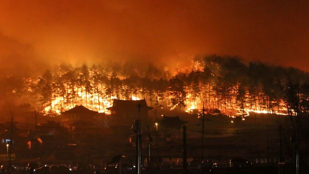 معبد 1000 ساله کره جنوبی سوخت + فیلم