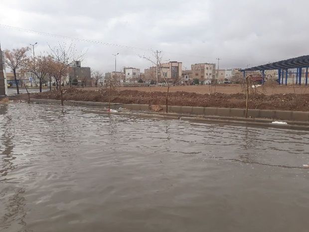 بارش رگباری باران در خراسان جنوبی موجب آبگرفتگی معابر شد