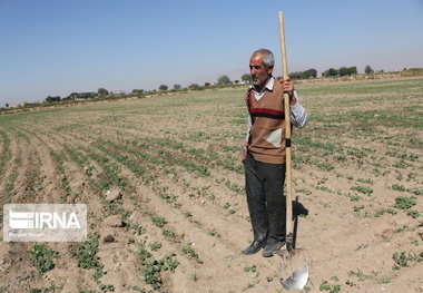 شاخص پوشش بیمه روستایی خراسان شمالی بیش از میانگین کشور است