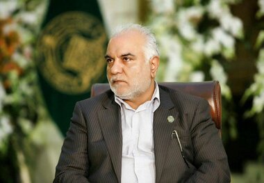 طرح توسعه حرم امام علی (ع) امسال تمام می‌شود