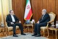 دیدار سفیر ایران در ایرلند با عراقچی | تأکید بر تداوم رایزنی‌های دیپلماتیک و پیگیری موضوعات دوجانبه