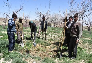 2200 خانوار روستایی خراسان شمالی بیمه اجتماعی شدند