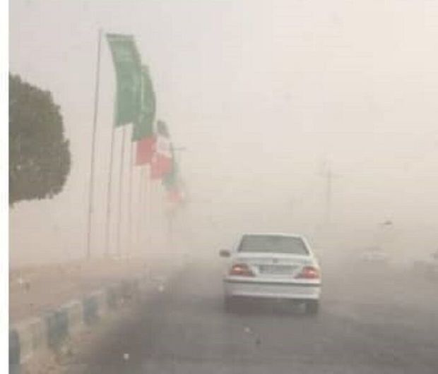 طوفان و باران تابستانی باعث خساراتی در دشتی بوشهر شد