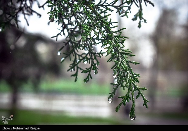 بارش ۱۵.۷ میلی‌متری باران در آرادان  بارش باران تا اواخر امشب در سمنان ادامه دارد