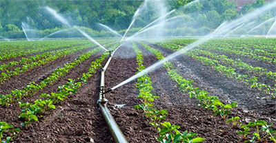 اجرای آبیاری تحت فشار در 219 هکتار از اراضی کشاورزی سردشت
