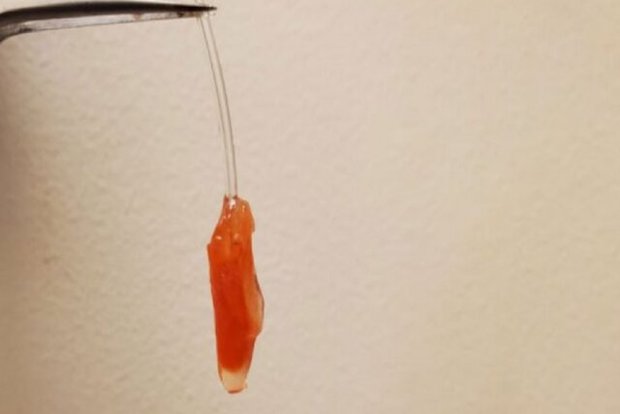 ساخت بطن قلب مصنوعی با استفاده از سلول‌های زنده و تپنده
