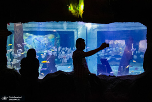 منتخب تصاویر امروز جهان- 10 تیر 1400