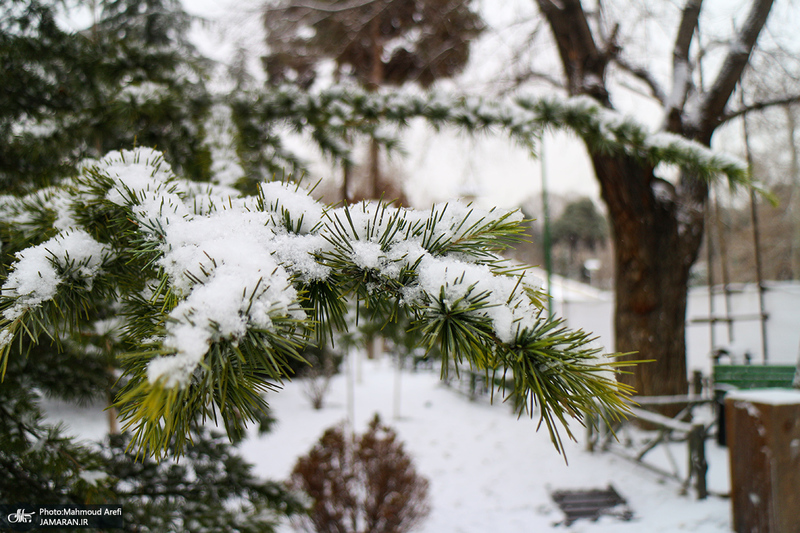 برف امروز تهران - 25 دیماه 1401