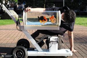 منتخب تصاویر امروز جهان - 31 اردیبهشت 1401