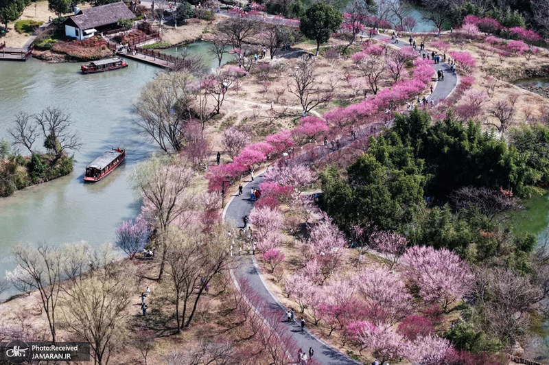 منتخب تصاویر امروز جهان - 14 اسفند 1403