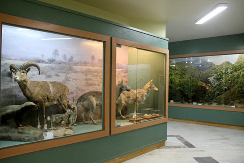بازدید از موزه محیط زیست اصفهان رایگان است