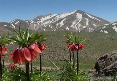 مراغه دروازه تمدن ایران زمین، عروسی در دامان کوه سهند