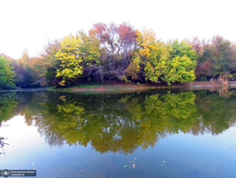 باغ گیاه‌شناسی ملی ایران‎